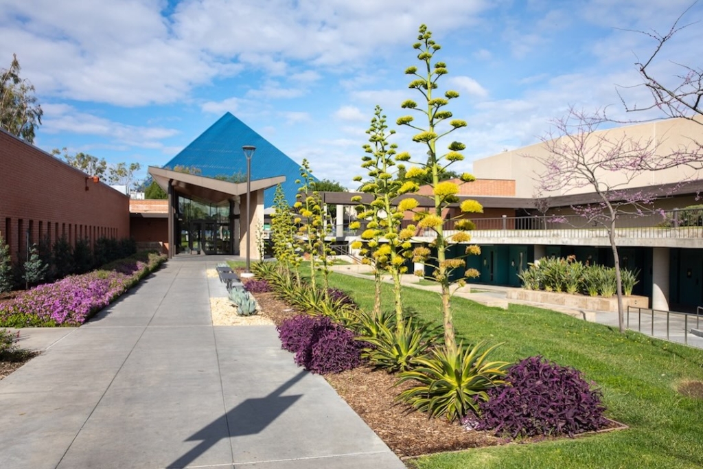 California State University Long Beach