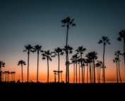 Studieren in Los Angeles