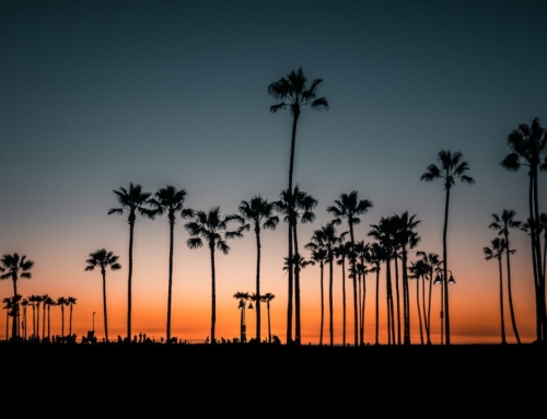 Studieren in Los Angeles – Eine Traumstadt für Studierende