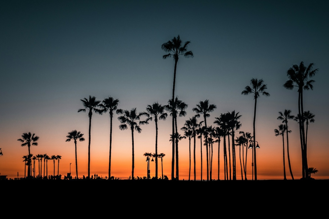 Studieren in Los Angeles